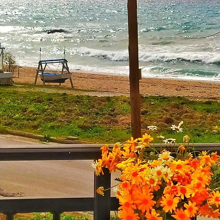 Socrates Sea View Apartment Kampos Marathokampou Luaran gambar
