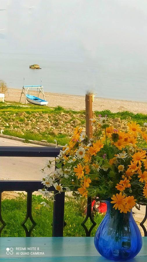 Socrates Sea View Apartment Kampos Marathokampou Luaran gambar