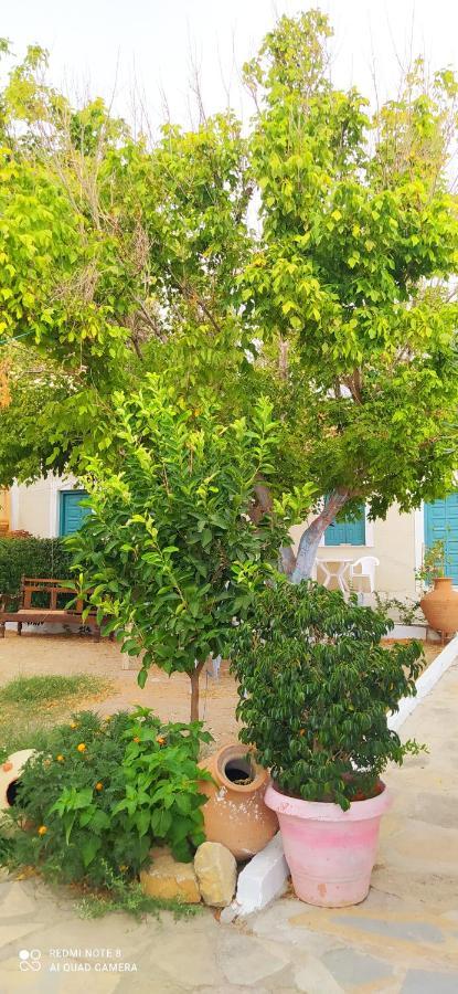 Socrates Sea View Apartment Kampos Marathokampou Luaran gambar